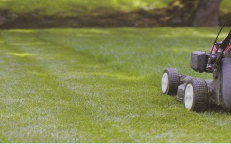 Maquinaria para jardinería en A Coruña